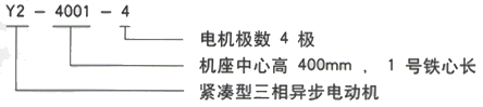 YR系列(H355-1000)高压YJTFKK5602-2三相异步电机西安西玛电机型号说明